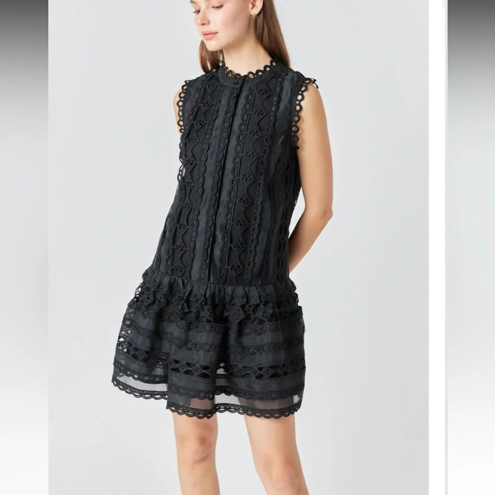 Endless Rose CROCHET MINI DRESS organza dark romantic dark feminine boho